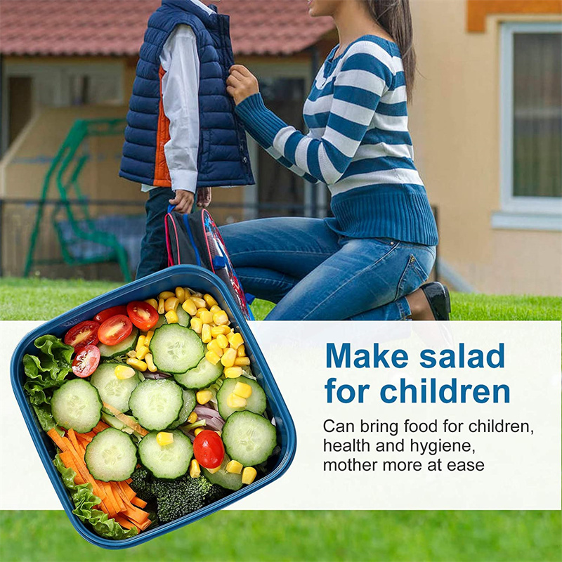 Portable Salad Lunch Container - Food Storage Box Large 评论和价格