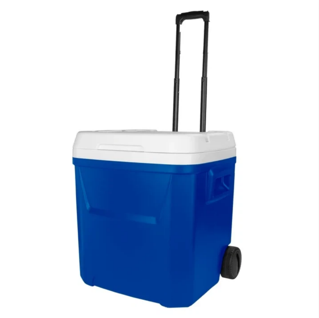 60 QT Blue Laguna Wheeled Hard - Food Storage In Cooler 评论和价格