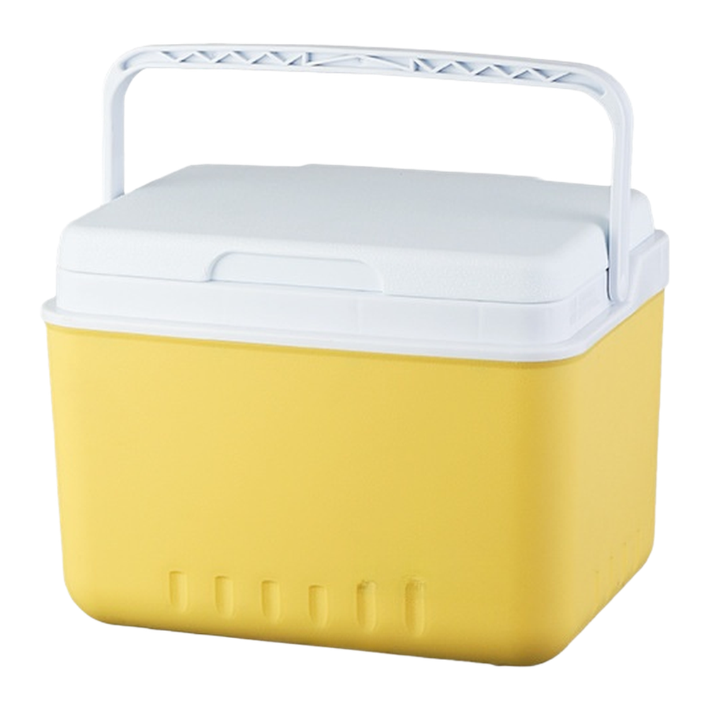 Portable 6L 15L Insulated Cool - Food Storage In Cooler 评论和价格