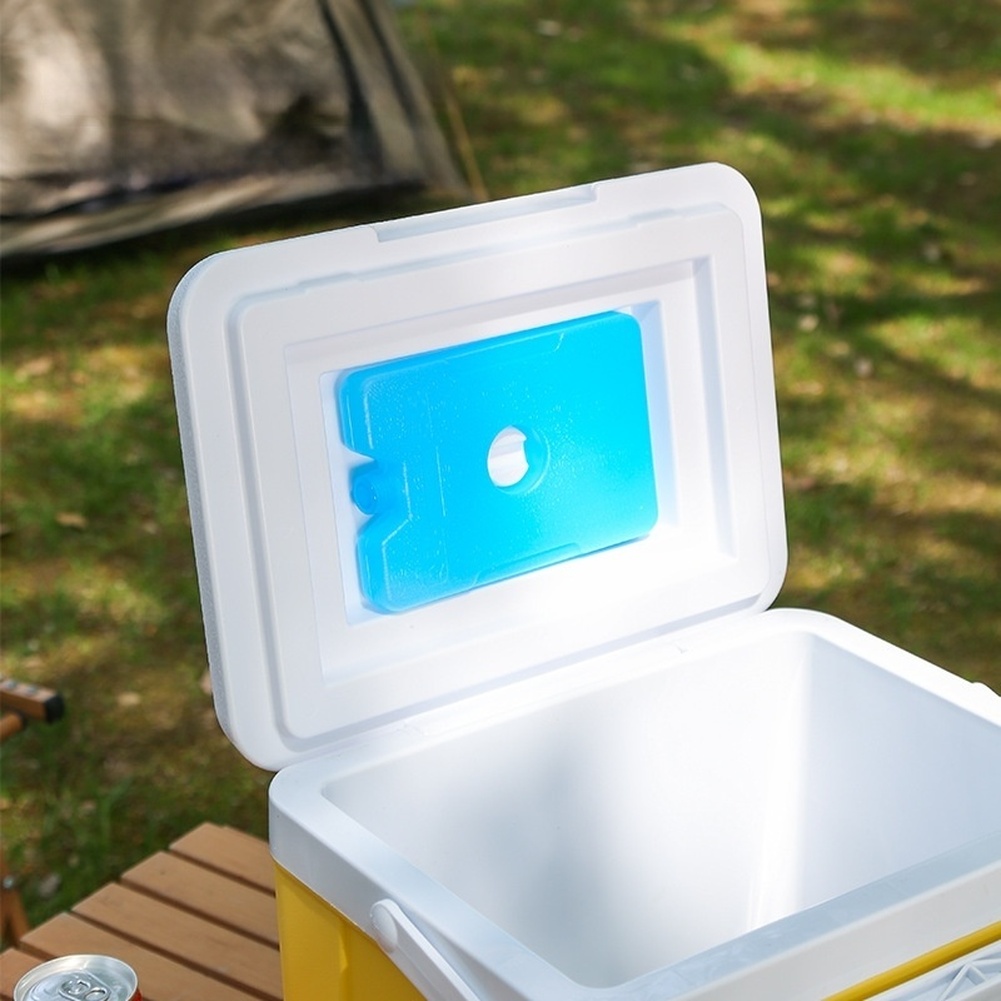 Portable 6L 15L Insulated Cool - Food Storage In Cooler 评论和价格