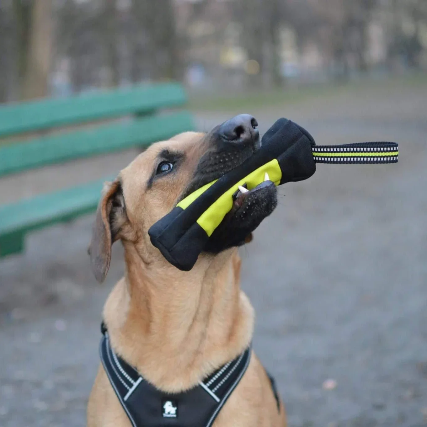 Truelove Dog Training Retrieve - Food Storage Zipper Bags 评论和价格