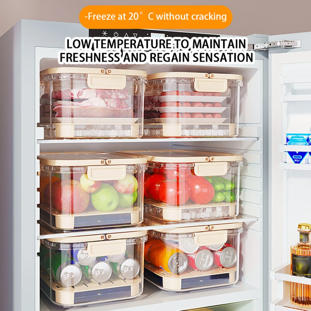 Portable Food Storage Containe - Food Storage Box Large 评论和价格