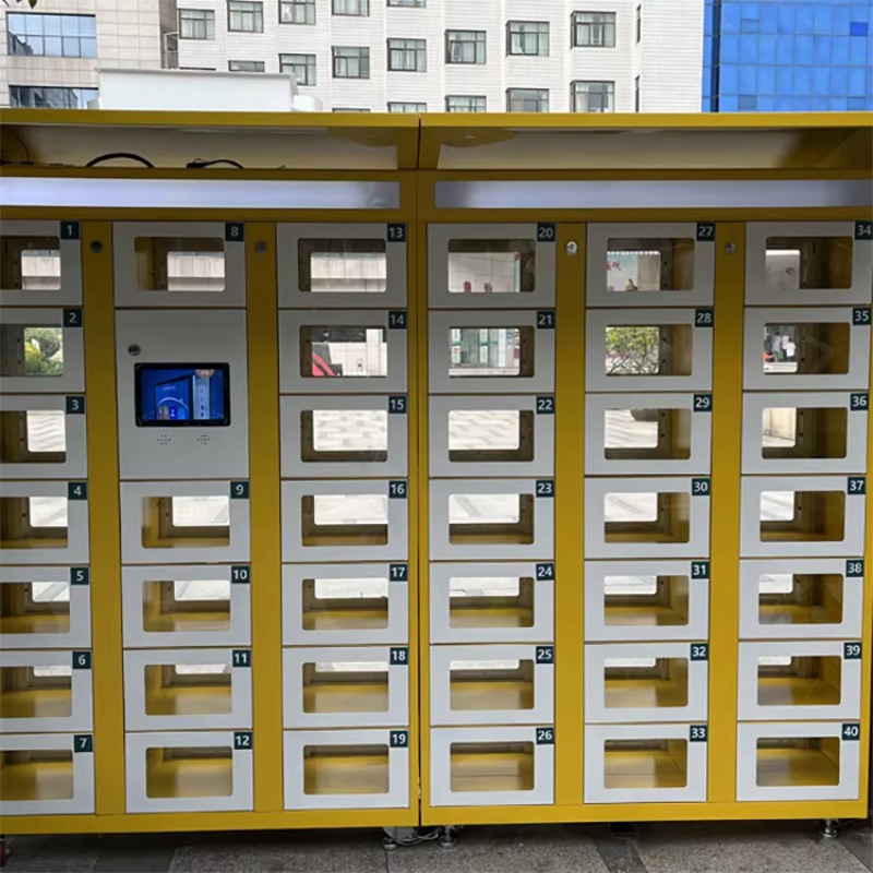 Custom Double Sided Locker Ele - Food Storage In Cabinets 评论和价格